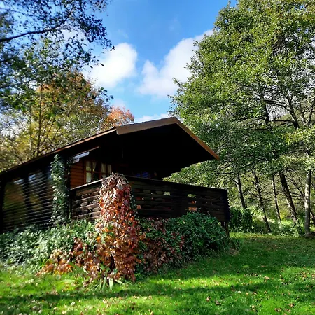 Wood Cabins In The Heart Of Transylvania Coltesti Room photo
