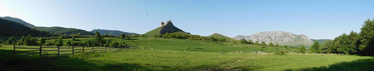 Wood In The Heart Of Transylvania Cabană *