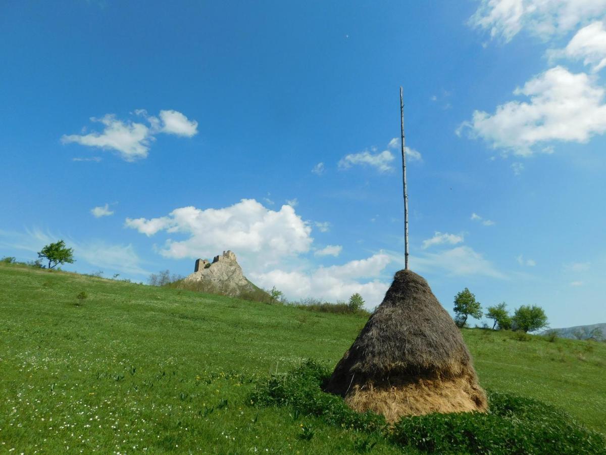 Lodge Wood In The Heart Of Transylvania