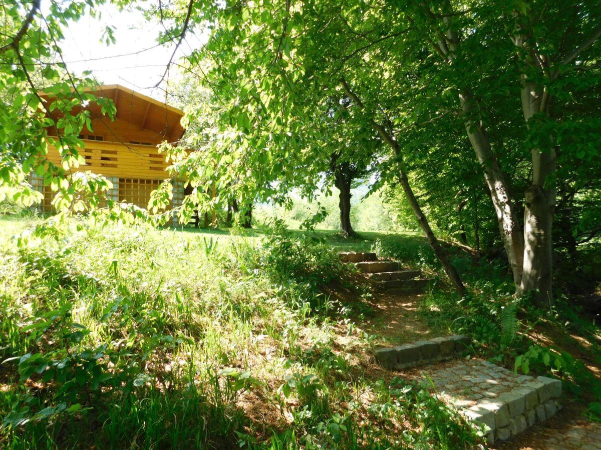 Lodge Wood In The Heart Of Transylvania *