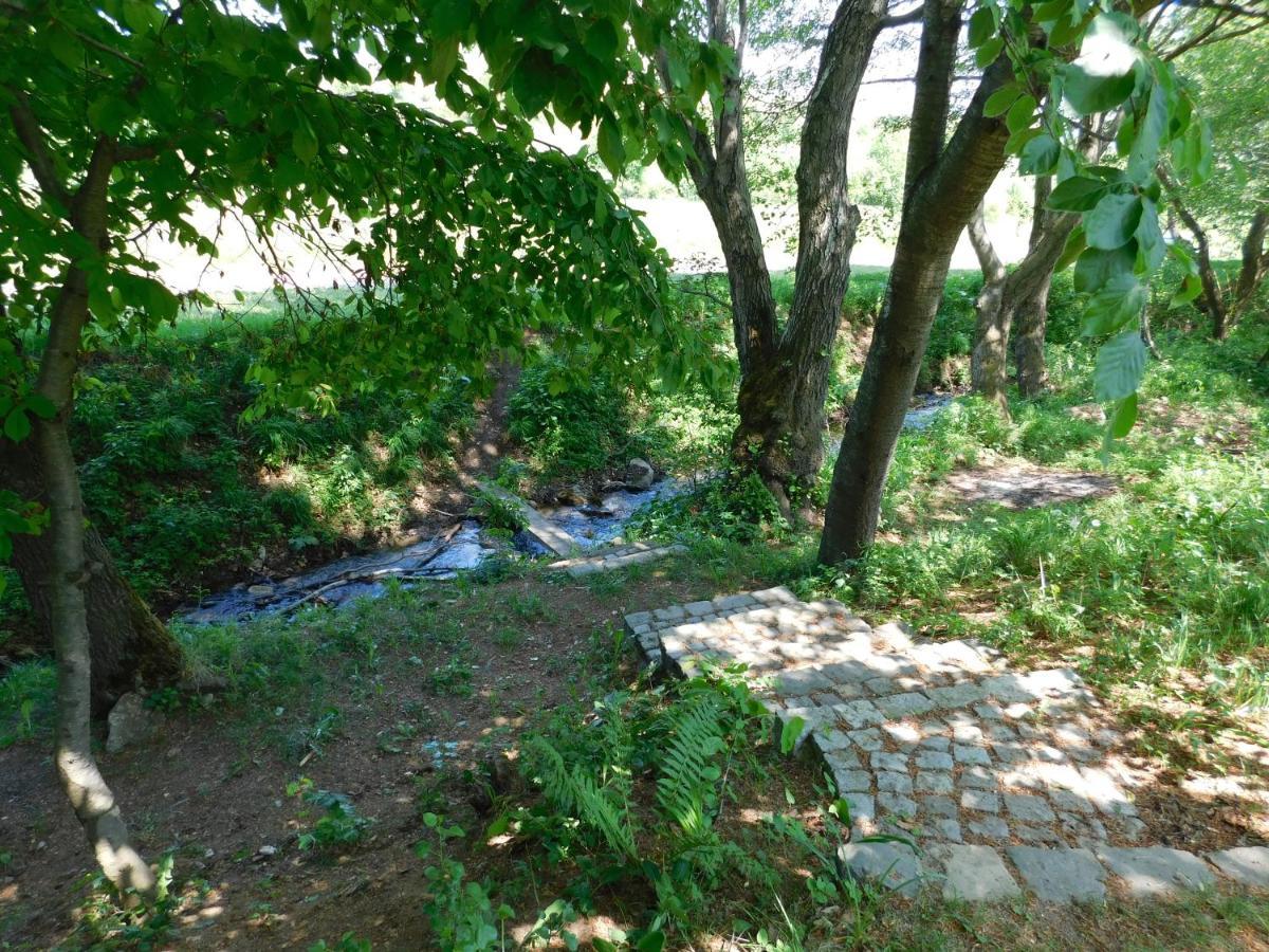 Wood In The Heart Of Transylvania Lodge