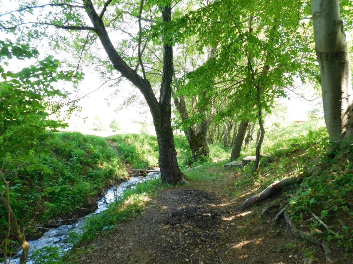 Wood In The Heart Of Transylvania Cabană