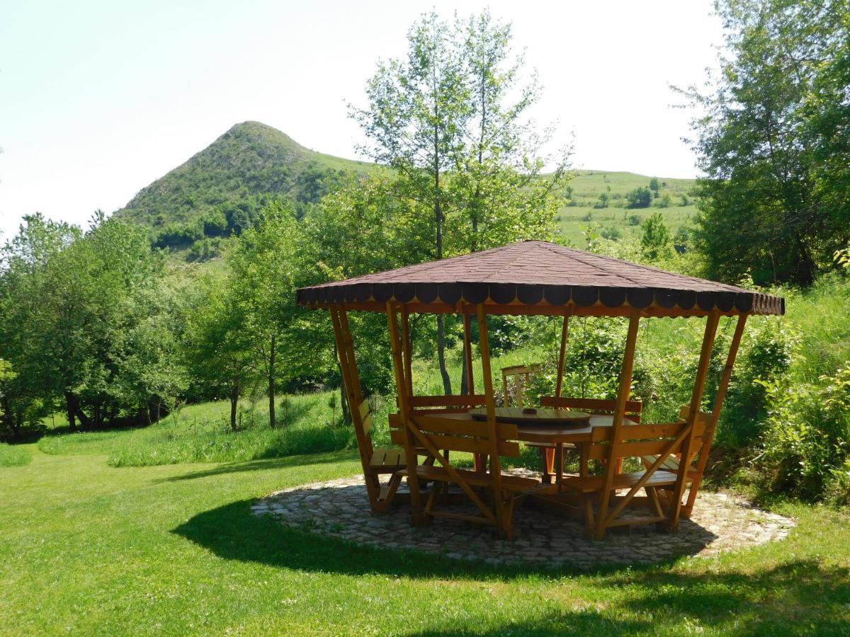 Wood In The Heart Of Transylvania Coltesti