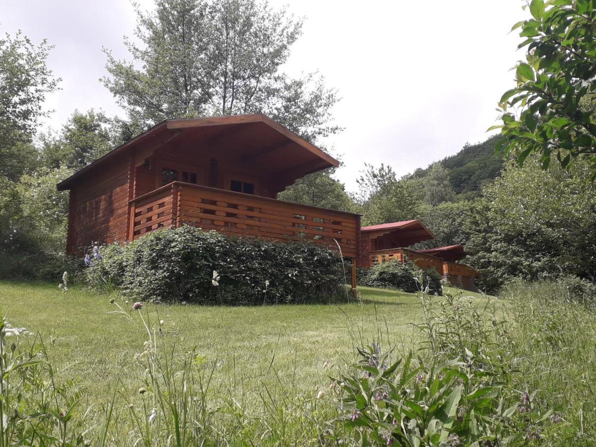 Lodge Wood In The Heart Of Transylvania *