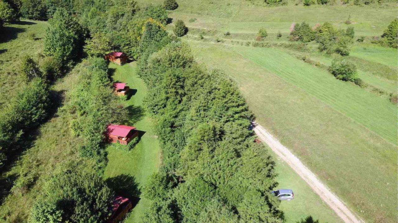 Wood In The Heart Of Transylvania * Coltesti