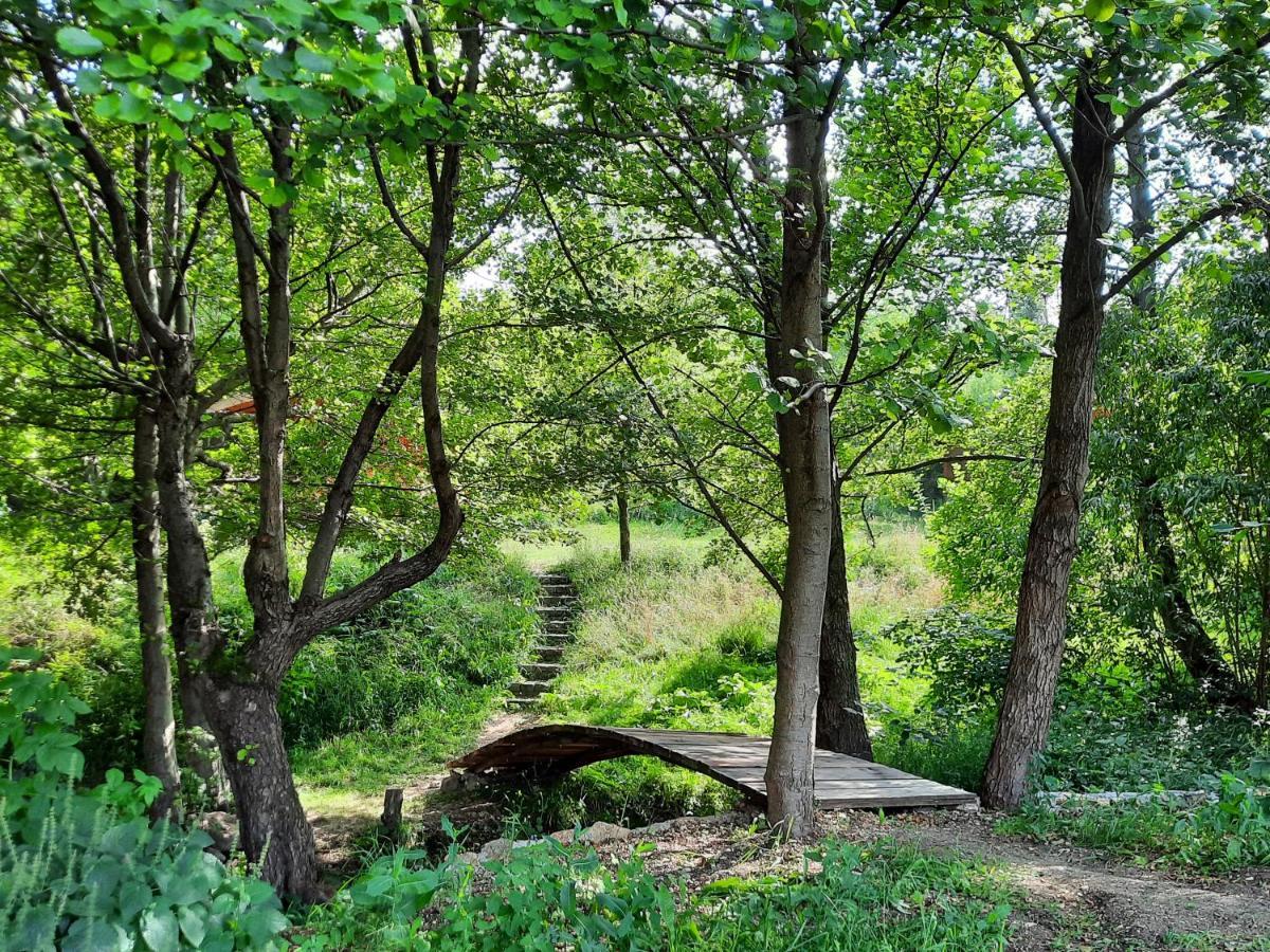 Wood In The Heart Of Transylvania Cabană *
