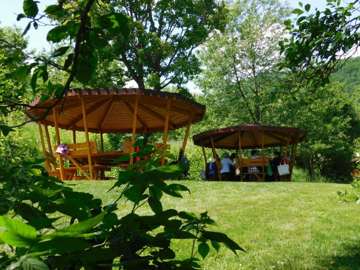 Wood In The Heart Of Transylvania Lodge *