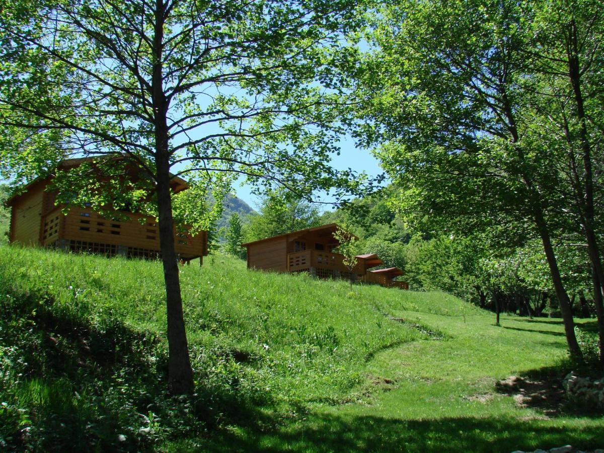 Wood In The Heart Of Transylvania *