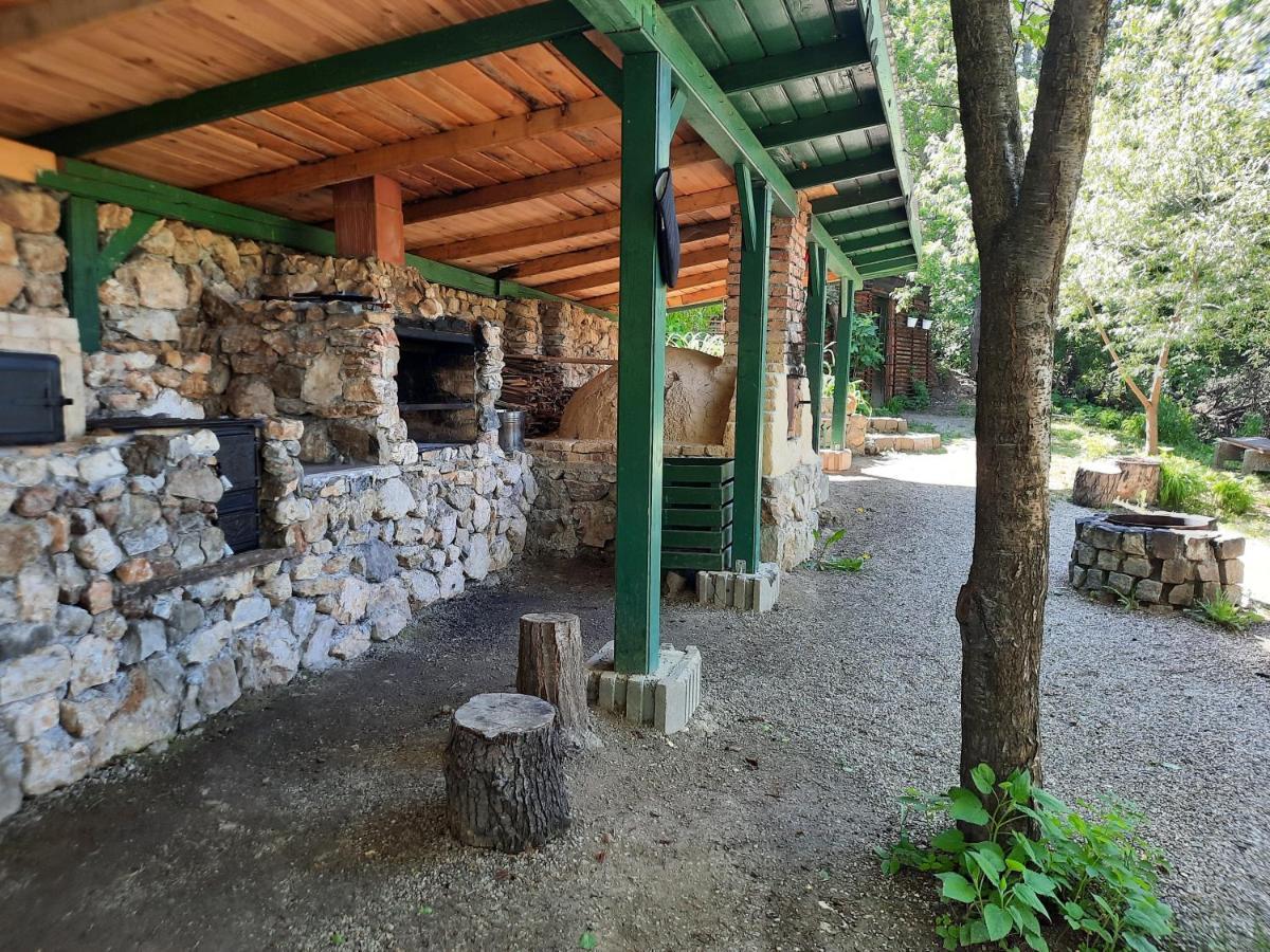 Wood In The Heart Of Transylvania Lodge Coltesti