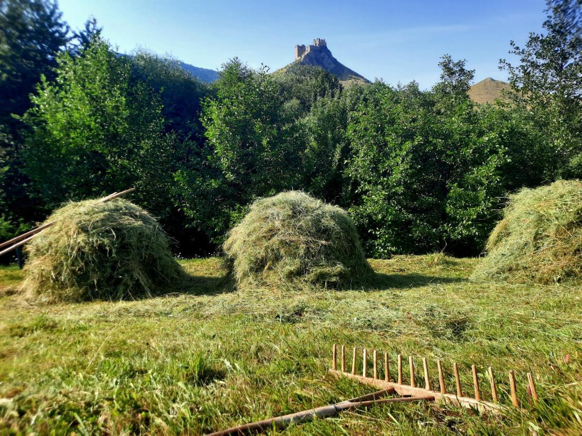 Wood In The Heart Of Transylvania Lodge Coltesti