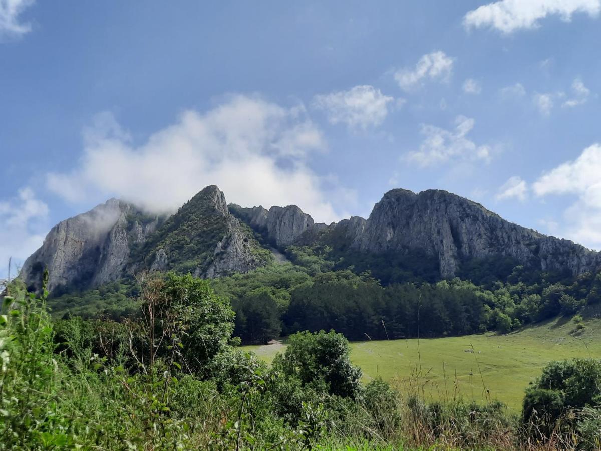 Lodge Wood In The Heart Of Transylvania *