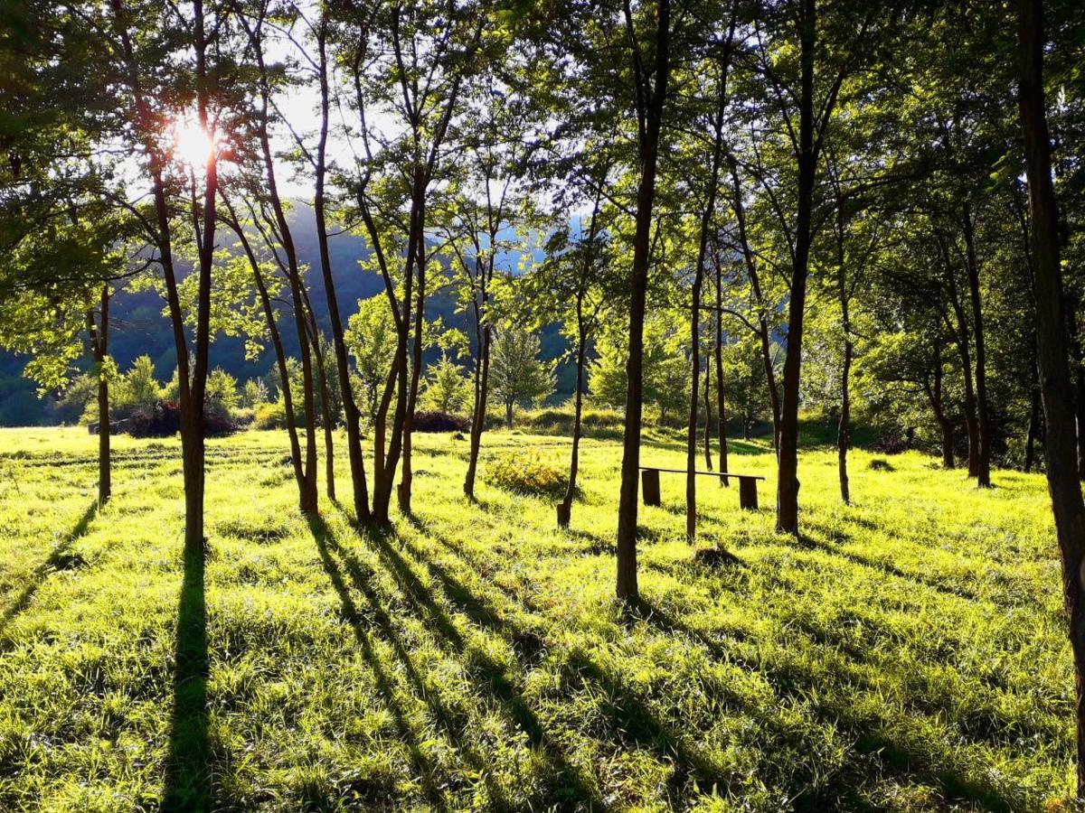 Lodge Wood In The Heart Of Transylvania Coltesti