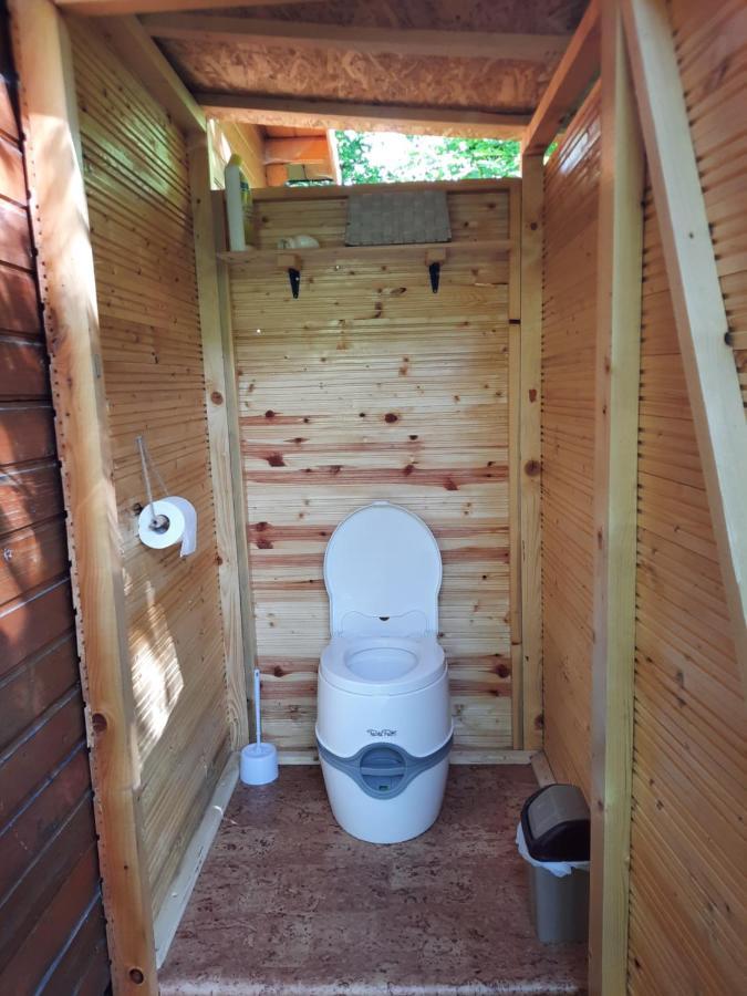 Wood In The Heart Of Transylvania Coltesti