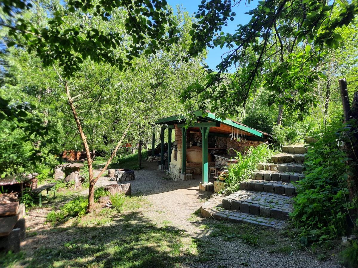 Wood In The Heart Of Transylvania Lodge