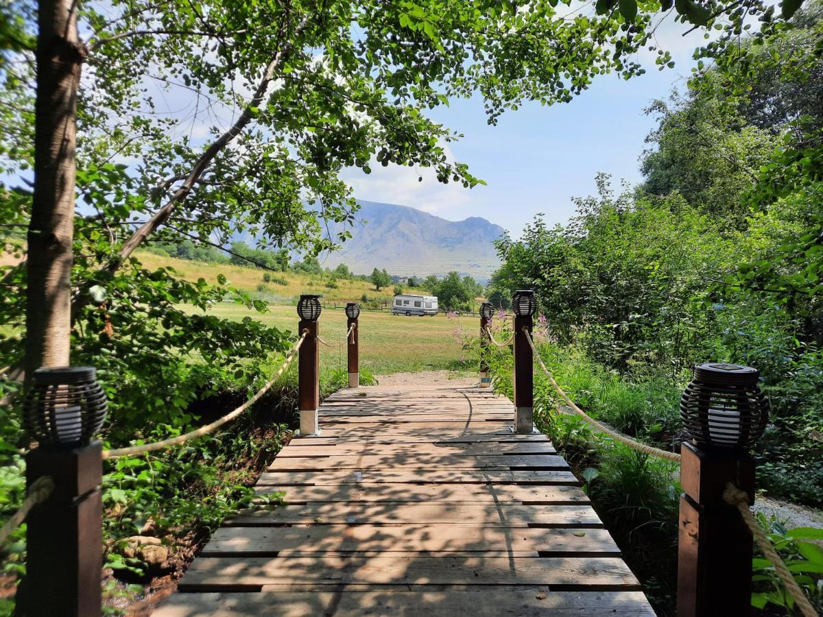 Wood In The Heart Of Transylvania