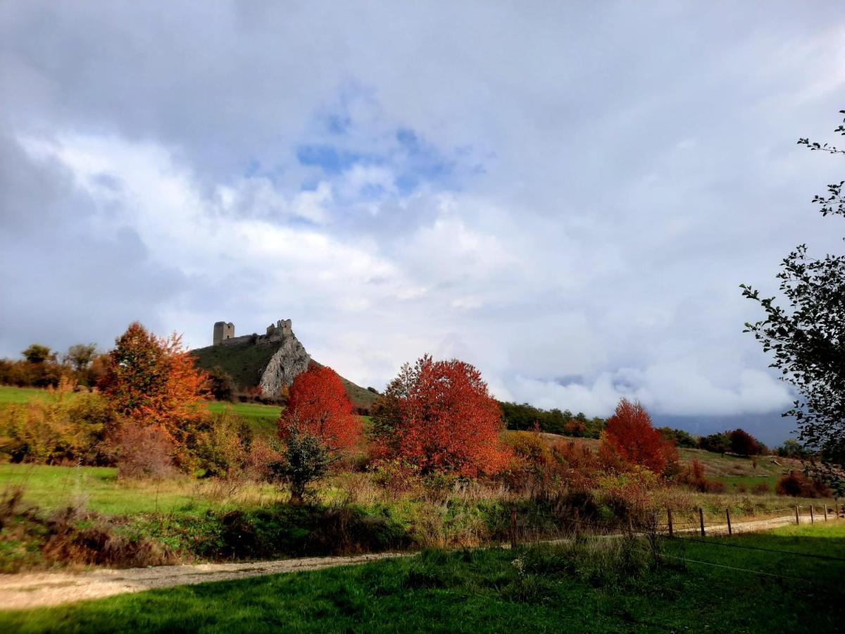 Wood In The Heart Of Transylvania Lodge