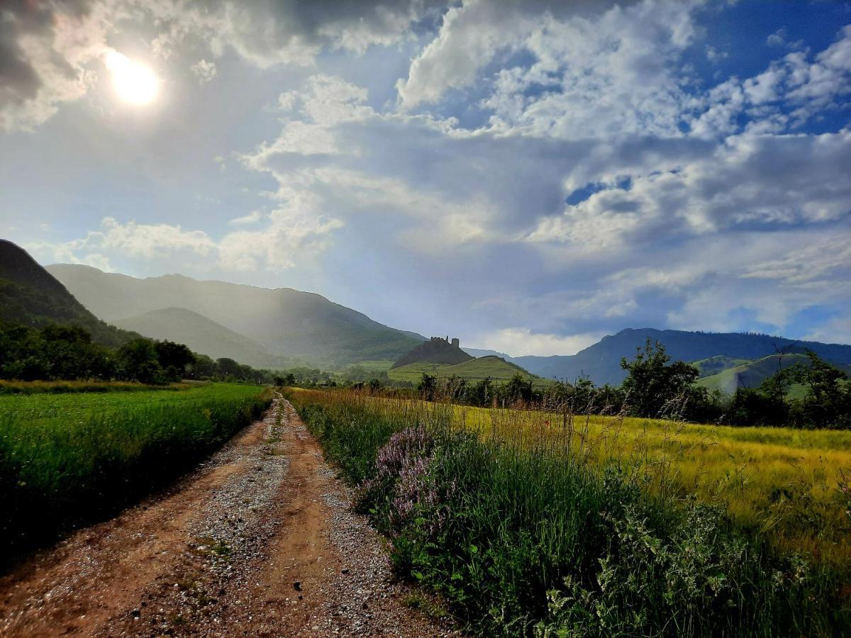 Lodge Wood In The Heart Of Transylvania *