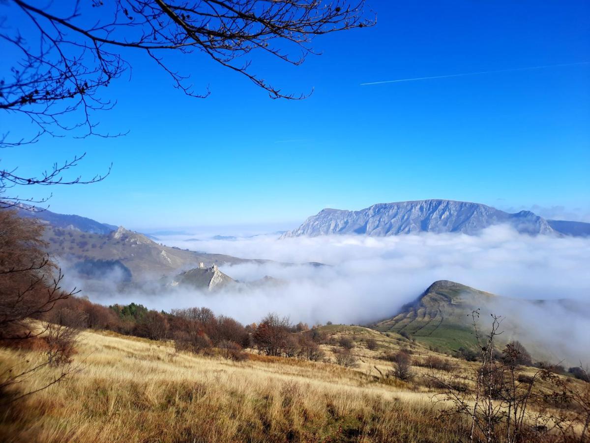 Wood In The Heart Of Transylvania Cabană *