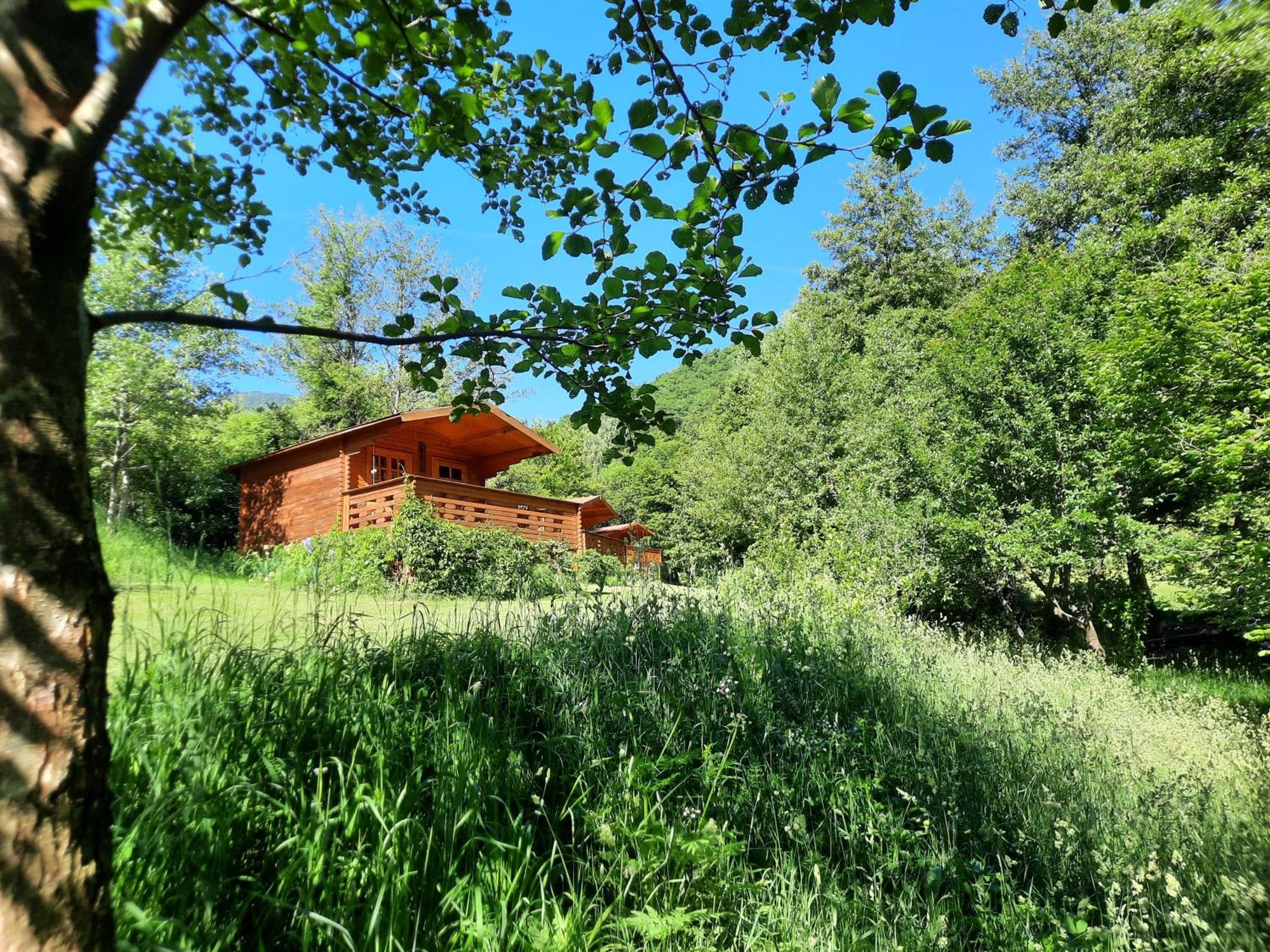 Wood In The Heart Of Transylvania Cabană Coltesti