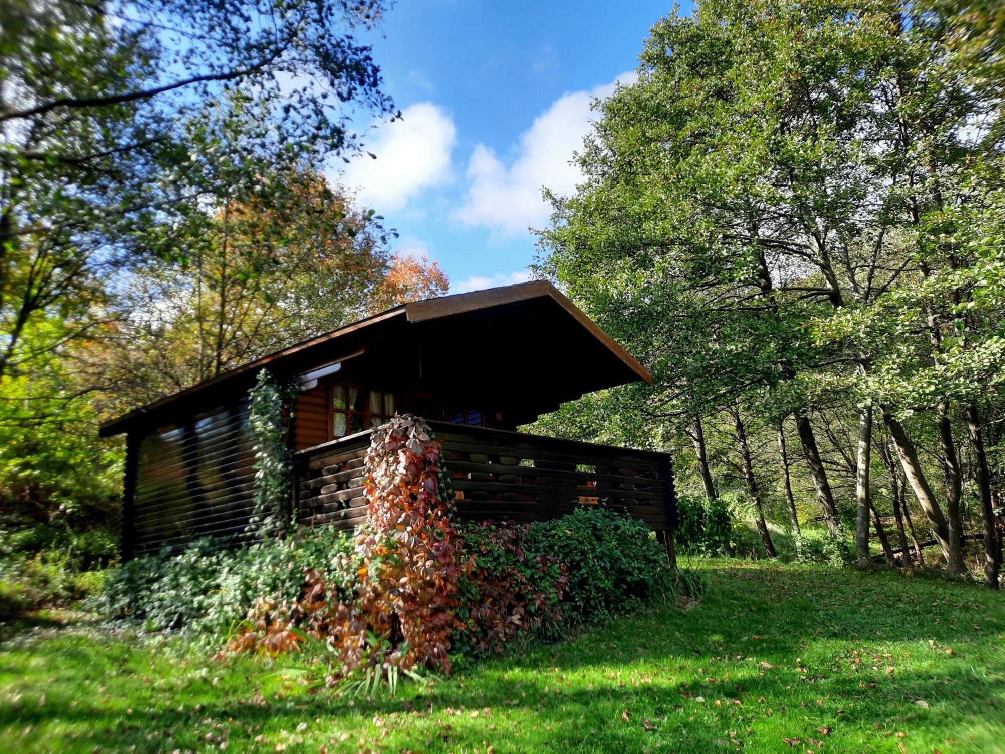 Cabană Wood In The Heart Of Transylvania Coltesti