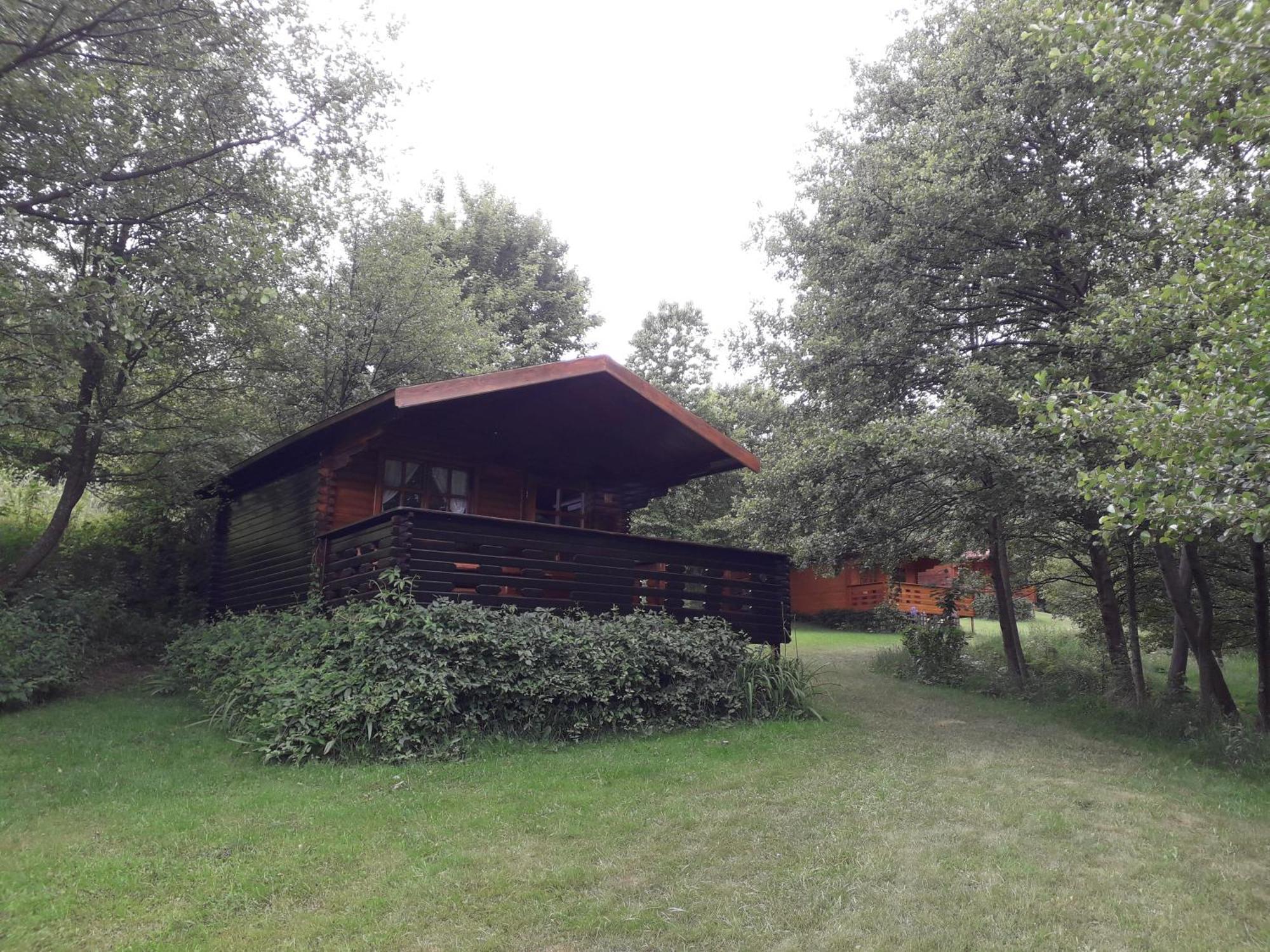 Wood In The Heart Of Transylvania