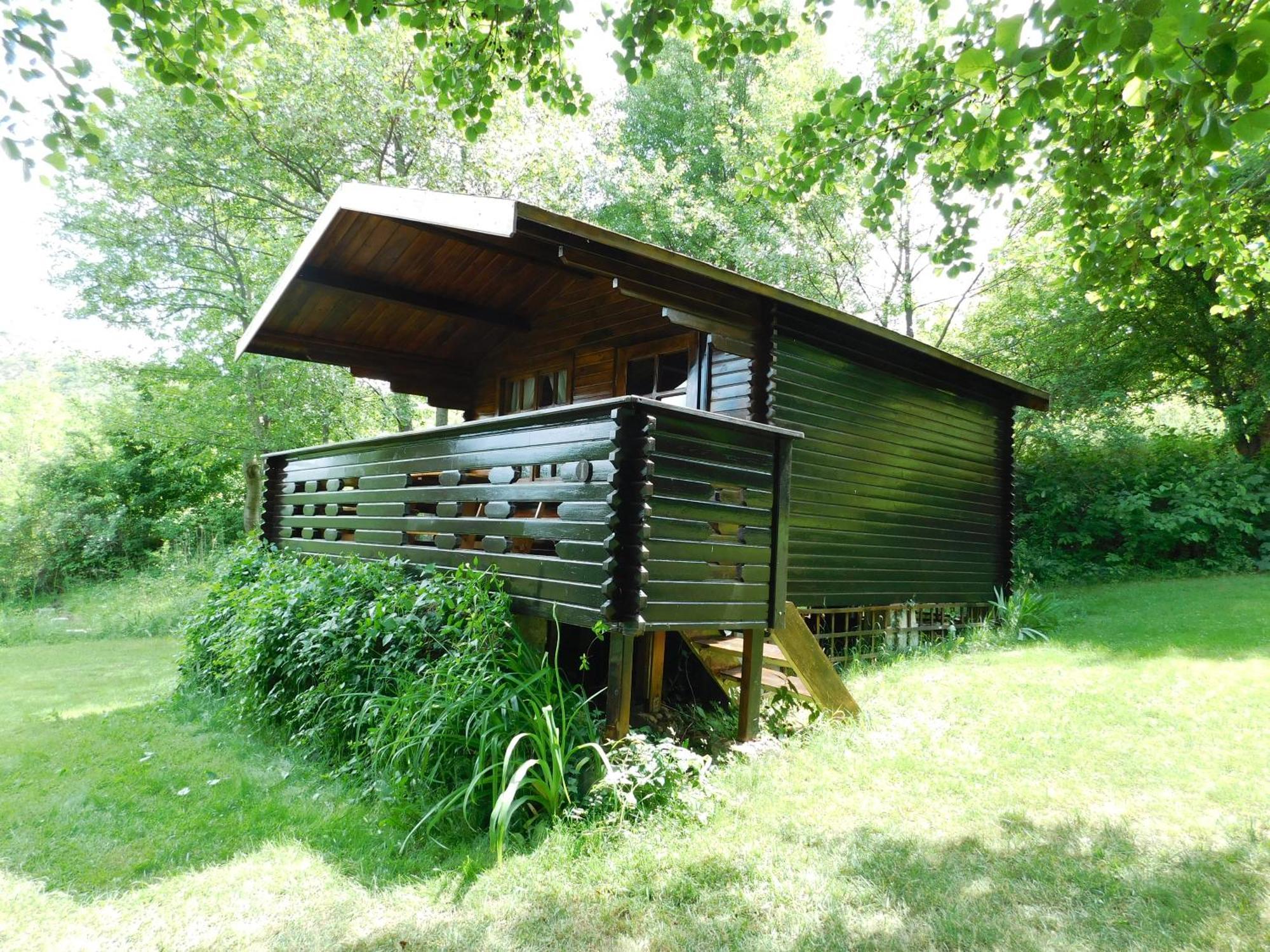 Wood In The Heart Of Transylvania * Coltesti